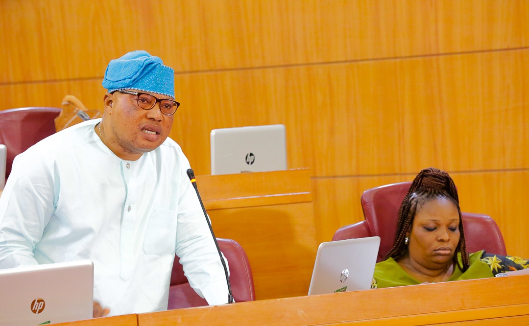 More Troubles For Sacked Lagos Commissioner As She Faces Assembly Probe