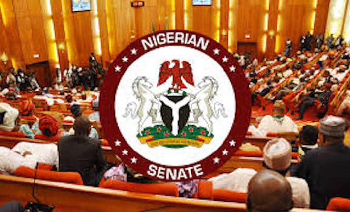 #COVID-19: Senate Denies Collecting Palliatives From Buhari, FG