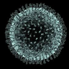 Coronavirus Enters Borno, Jigawa; 70 New Cases In Lagos In A Day; Number Rises To 627
