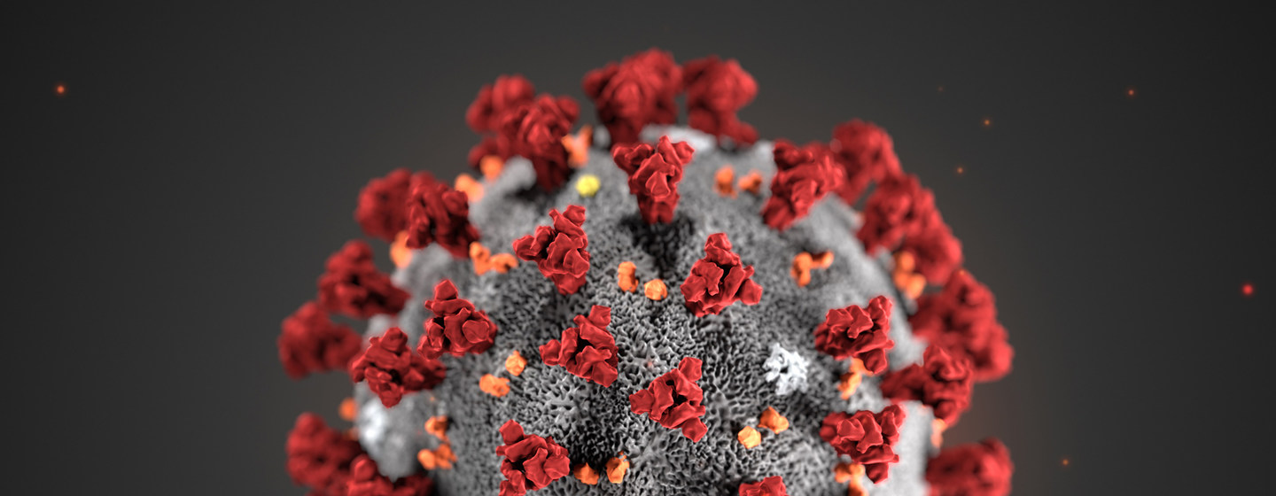 #COVID-19: Bauchi Gov Defeats Coronavirus, Tested Negative 