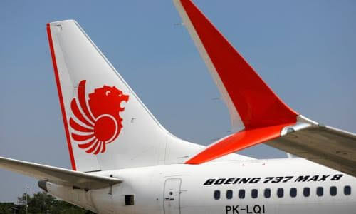 Boeing 737 Crashes, 60 Passengers Perish