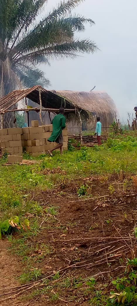 Herdsmen Fleeing From Sunday Igboho Invade Epe Farmlands; Attack, Drive Away Residents; Family Sends SOS To Sanwo-Olu, IGP