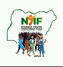 Youth Investment Fund Progress Report: N1.31bn Disbursed 4,680 Beneficiaries As At April