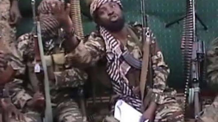 ISWAP Fighters Arrest Shekau's Commanders, Meet With Surrendered Top Boko Haram Members