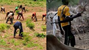 Farmers/Herders' Clash: Herders To Carry ID Card In Osun; State Begins Enumeration, Headcount Of Migrants, Immigrants