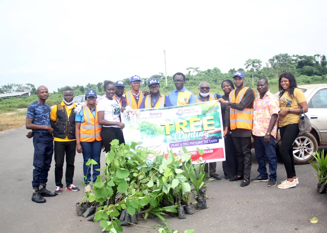 In Pictures, Ake Royal Rotary Club's Tree Planting Exercise In Abeokuta