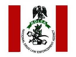 Recruitment: NDLEA Fixes New Date For Training Of Successful Candidates