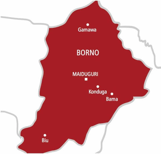 Seven Women Trampled To Death During Food Distribution In Borno; Red Cross Warehouse Looted; Staff Injured