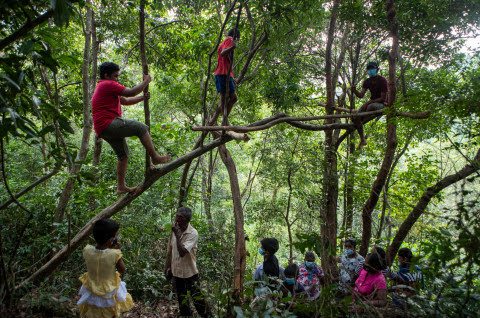 Pupils Trek Through Bushes, Sit On Tree Branches To Get Internet Access For Home Lessons
