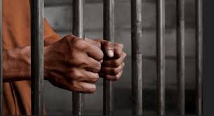 Prison Decongestion: 31 Inmates Regain Freedom In Kano