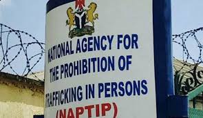 IOM, NAPTIP Launch Tools To Strengthen Identification, Screening, Reporting Of Trafficking Victims In Nigeria