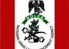 Role Of NDLEA In Controlling Drug Abuse During, After Transforming Drug Addicts