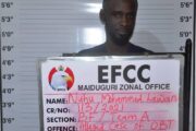 Man Bags Three Months Jail Term For Employment Scam In Borno