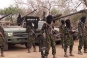 Report Says Shekau's Death Only Escalated ISWAP Terrorism