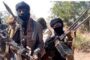 Fleeing Zamfara Bandits Attack Soft Targets As Military Operatives Aid Captives' Release