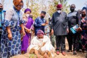Plant A Tree, Save The Environment For Humanity - Aregbesola