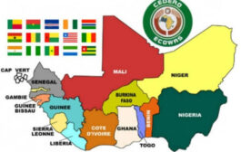 ECOWAS Develops National Strategy To Enhance Protection, Security Of Nigerians