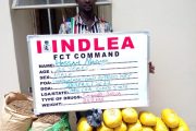 Watch Videos As NDLEA Seizes Cocaine In Teabags, Arrests 4 Traffickers At Lagos, Abuja Airports + Photos