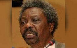 Soyinka Loses Younger Brother