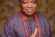 We'll Not Allow The Name Of Ohaneze Lagos Drag To The Mud - Chief Ossai