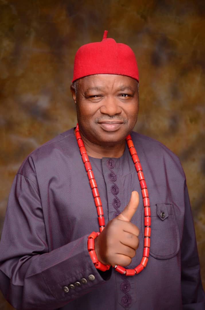 We'll Not Allow The Name Of Ohaneze Lagos Drag To The Mud - Chief Ossai