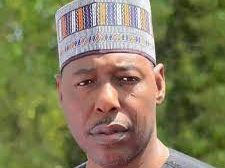 Zulum Appoints New Accountant General
