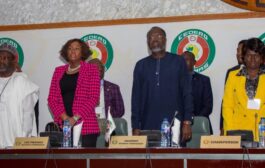 ECOWAS Plan Big Against Terrorism, Political Instability In West Africa  