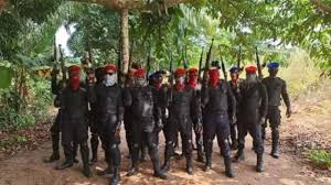 IPOB Terrorists Kidnap Navy Personnel After Visiting Sick Mother