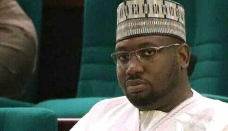 Zamfara Rep Narrates How Bandits Fed Twin Babies Born In Captivity To Dogs