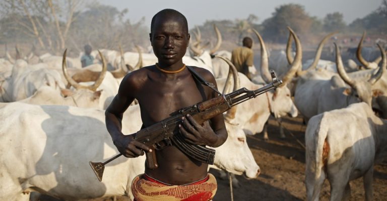 Suspected Herdsmen Kill One Soldier, Dozen Others In Benue Community