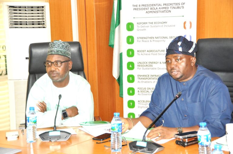 FG Announces Major Overhaul of Electricity Distribution Companies, Begins Pilot Scheme with 2 DisCos