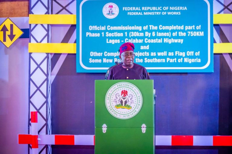 Tax Reforms, Tinubu’s Major Legacy To Nigerians – IMPI