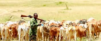 Suspected Herders Invade Benue Community, Kill Four, Destroy Properties