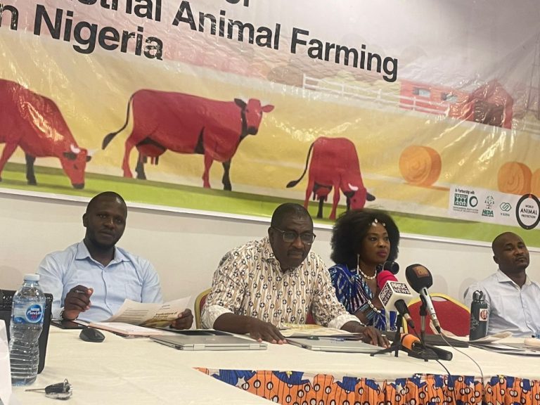 Stakeholders Raise Alarm over Incursion of Multinationals Into Meat Production Sector in Nigeria
