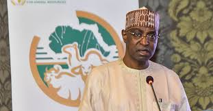 West Africa, Sahelian Regions Still Face Challenge of Limited, Quality Animal Feeds – Nigerian Minister