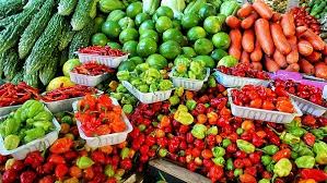 FG Boosts Efforts To Protect Agriculture From Climate Change