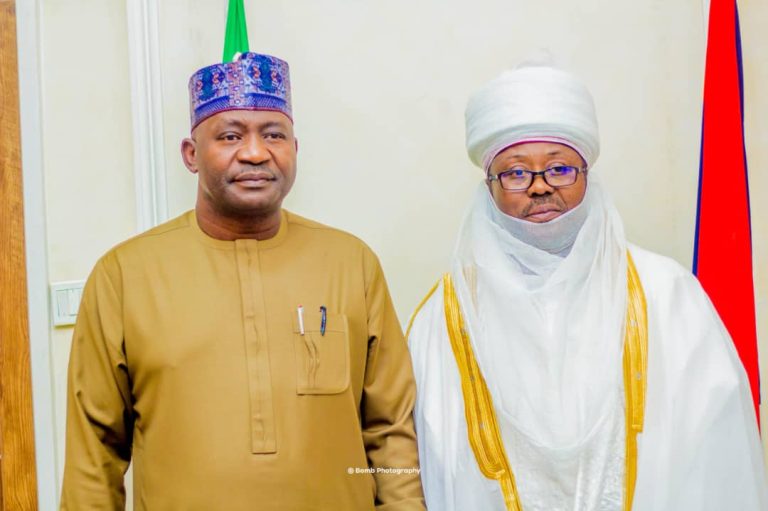 Emir of Zuru Visits Defence Minister To Boost Security