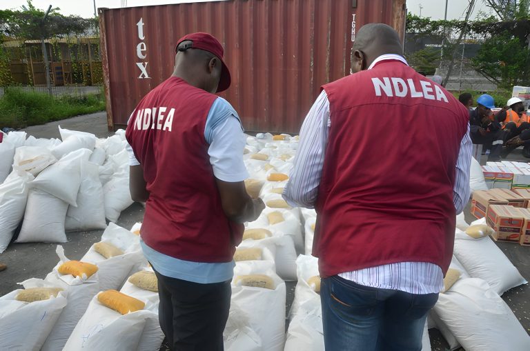 Drug War Intensifies as NDLEA Seizes 2.4 Tonnes, Arrests Over 1,000 in Katsina