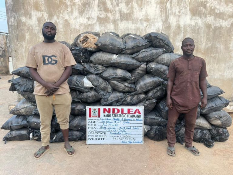 NDLEA Arrests China-bound Businessman With 95 Cocaine Wraps at Kano Airport, Busts Drug Syndicates Nationwide