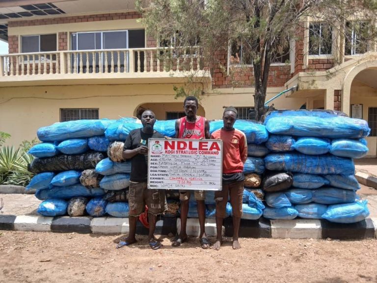 NDLEA Arrests Three Persons Living With Disabilities for Drug Trafficking, Uncovers N5.8bn Cannabis Haul in Lekki