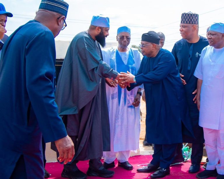 FG, Niger Govt Launch Nigeria’s Biggest Solar-powered Industrial Park