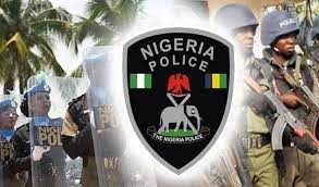 Police, Military Recover 329 Cattle, 175 Sheep, AK-47 in Zamfara