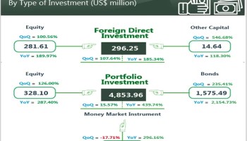 When the Numbers Lie by Omission: The Nairametrics Capital Importation Report