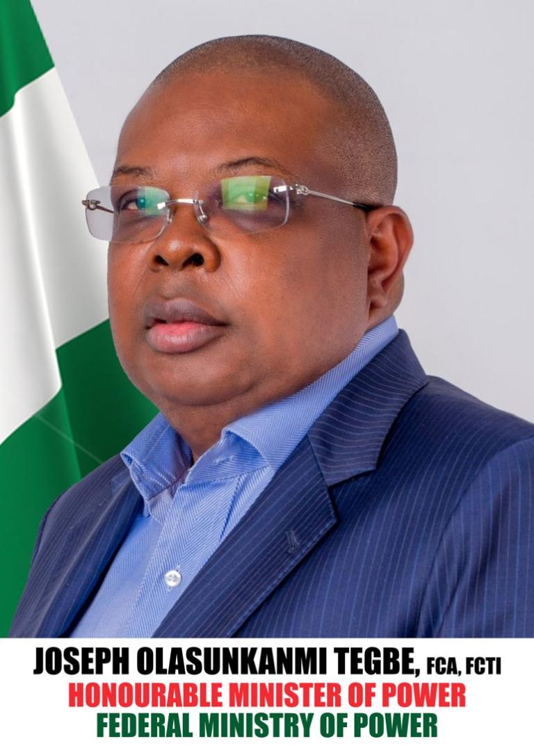 Power Minister Seeks Enhanced Cooperation Of Nigerian Police Tegbe