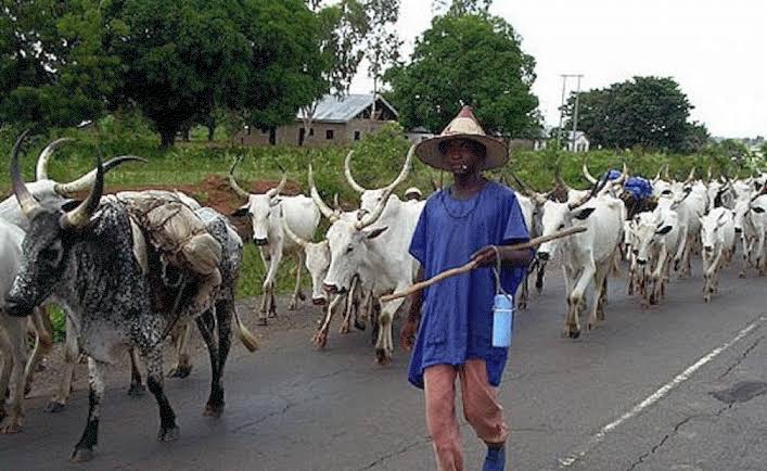Eight Die, 5 Rescued In Farmers-herders Clash In Kebbi Community