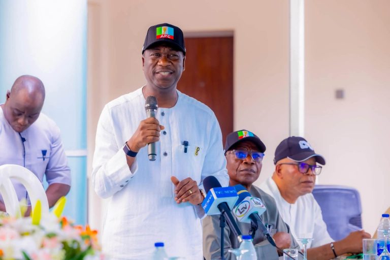 Put Nigeria’s interests Above Personal Ambitions, Hamzat Advises Politicians
