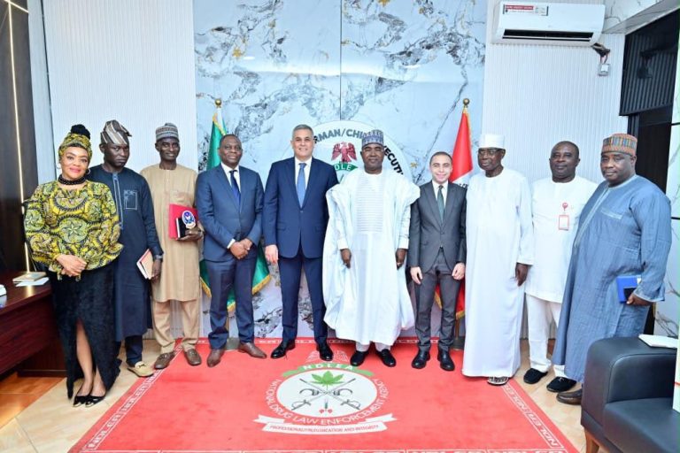 Nigeria, Egypt Move to Deepen Anti-drug Alliance with Intelligence-sharing Pact