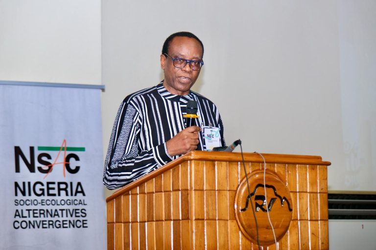 Experts Warn Nigeria Against ‘New Oil Curse’, Raise Alarm Over Insecurity, Deforestation