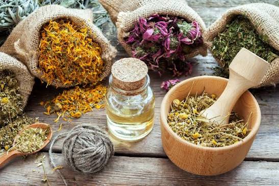 FG Unveils 7 Herbal Medicines for Treatment of Cancers, Hepatitis B
