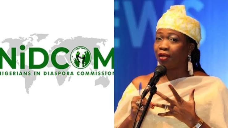Diaspora Experts Urge AI Adoption, Mentorship, Healthy Living to Unlock Nigeria’s Youth Potentials